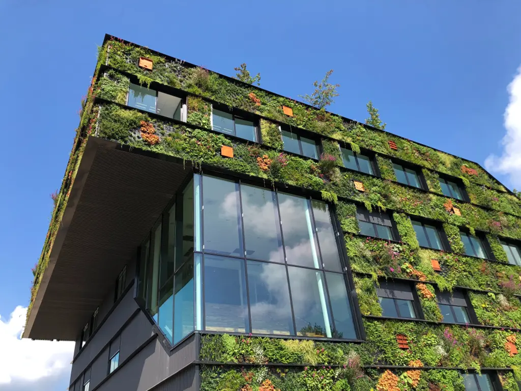 building with vegetated walls